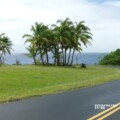 ハワイ島で今一番安い売地を探す｜2023年6月版